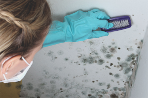 Hoe schimmel op de muren in een appartement te verwijderen