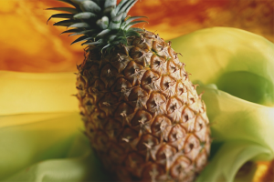 Hoe ananas te kweken