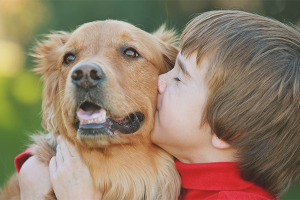 Hoe ouders te overtuigen om een ​​hond te kopen