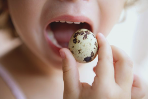 Hoe kwarteleitjes voor een kind te koken