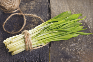 De voordelen en nadelen van wilde knoflook