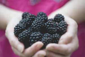 Blackberry tijdens de zwangerschap