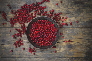 Lingonberry voor verkoudheid