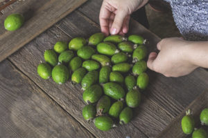 Hoe een feijoa te kiezen