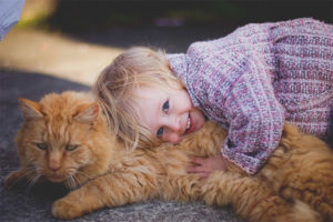 Welk kattenras om voor een kind te kiezen