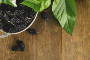 Mulberry bij diabetes