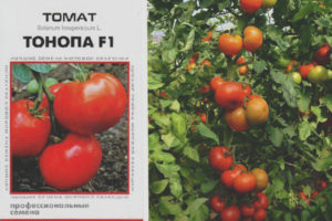 Tonopa Tomato F1