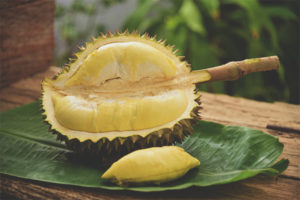 Waarom Durian nuttig is