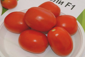 Tomato Chibli F1