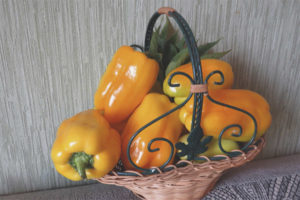 Peper Orange Lion F1